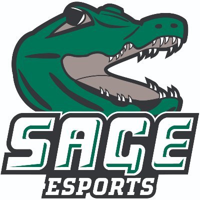 Russel Sage College Esports