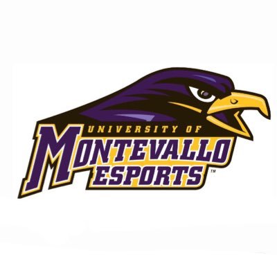 University of Montevallo Esports