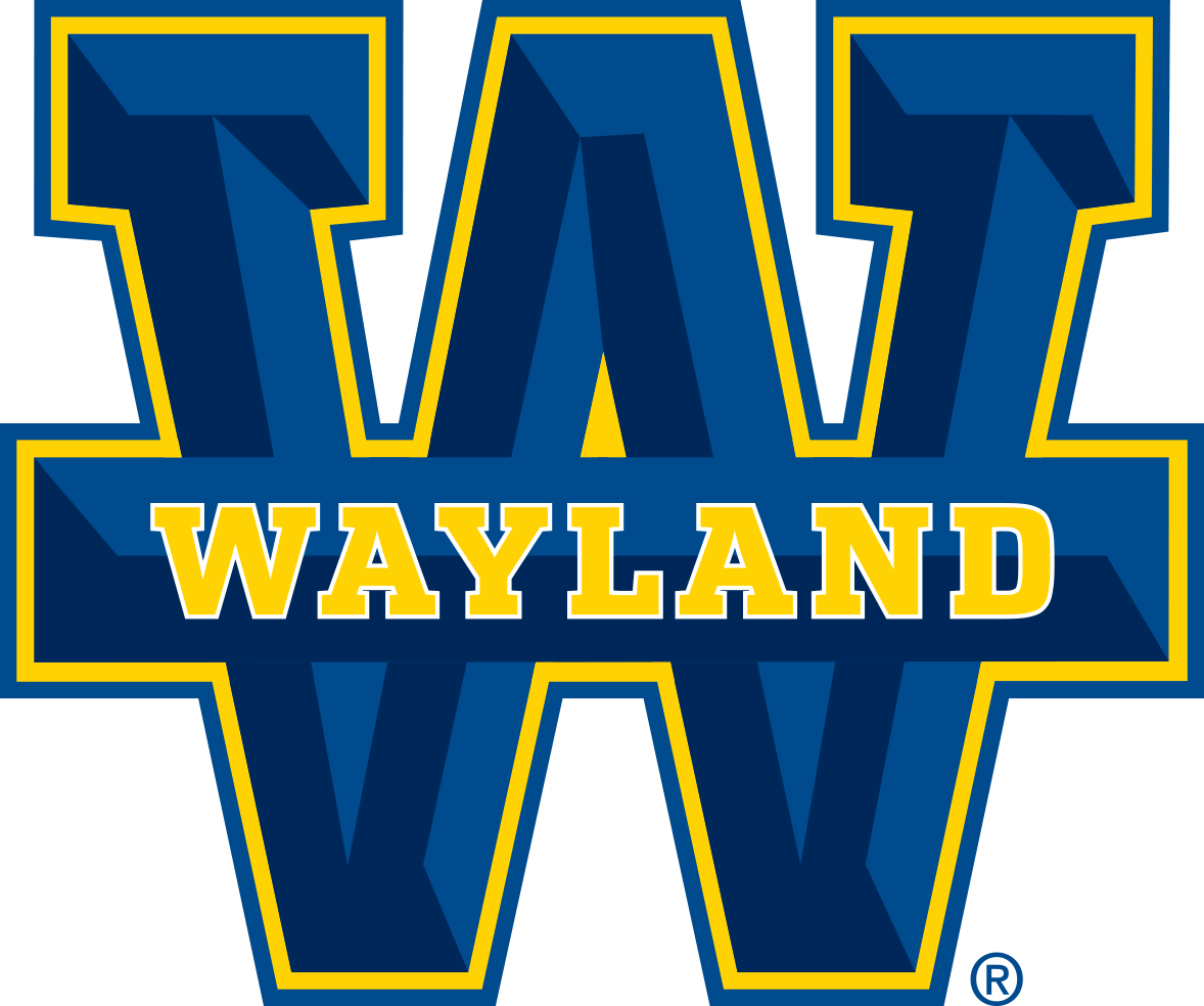 Wayland Baptist University Esports
