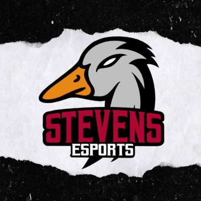Stevens Institute of Technology Esports